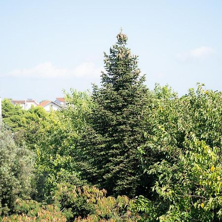Apartments Centar Βόντιτσε Εξωτερικό φωτογραφία