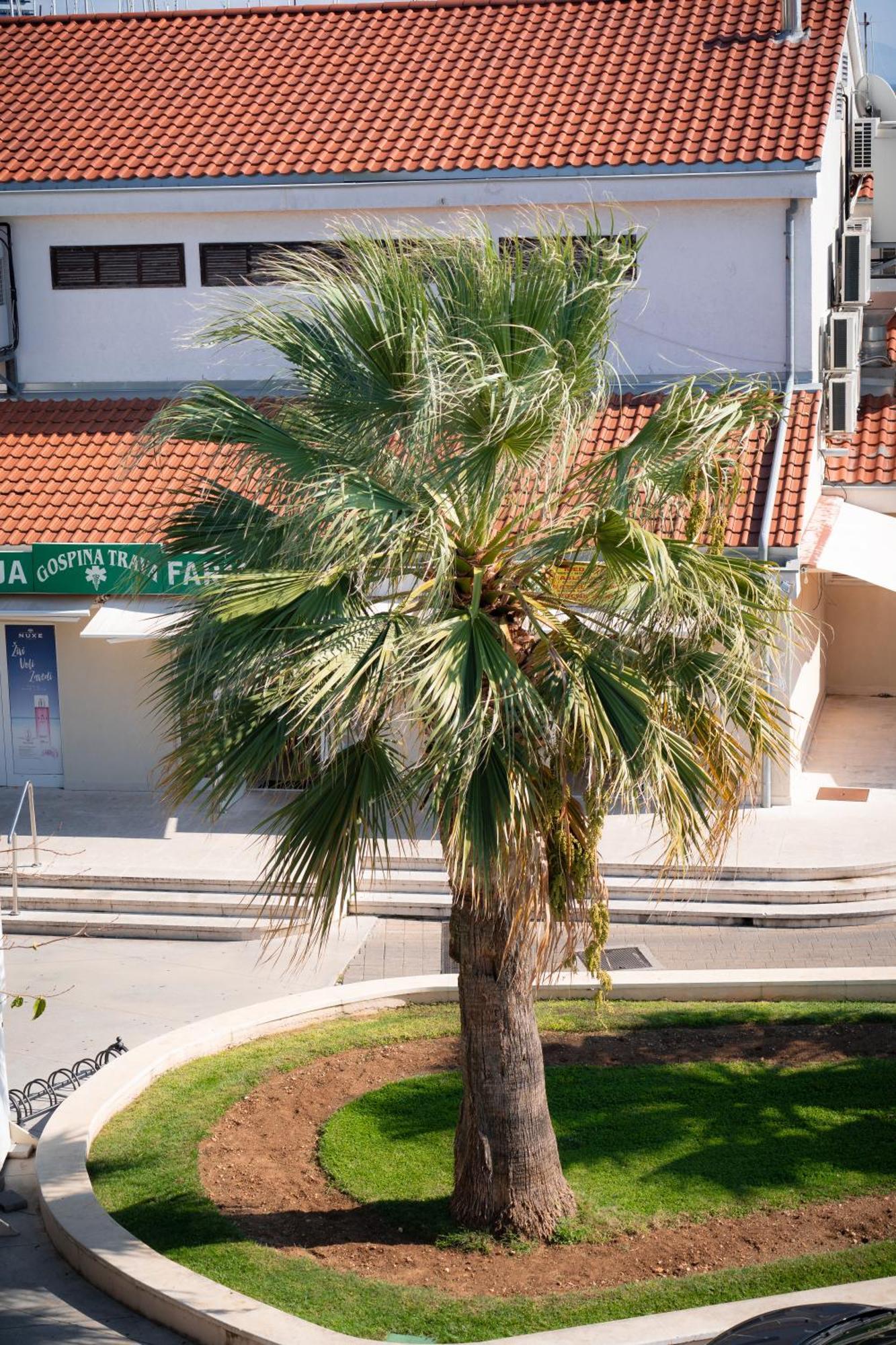 Apartments Centar Βόντιτσε Εξωτερικό φωτογραφία
